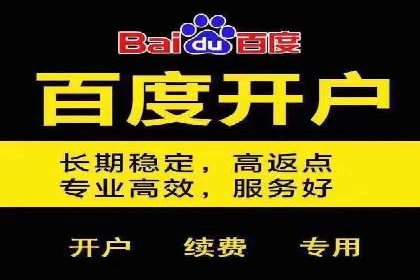案例分享：百度竞价排名助力企业实现跨越式发展